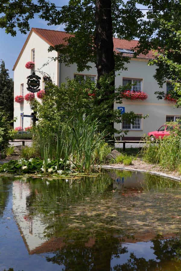 Hotel & Gasthaus Zum Eichenkranz 卢肯瓦尔德 外观 照片